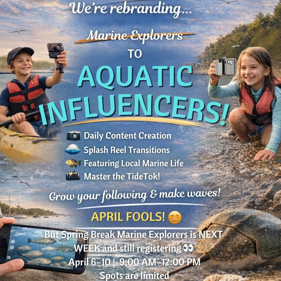 NEW PROGRAM DROP

We&rsquo;re rebranding Marine Explorers to&hellip;

✨ Aquatic Influencers ✨

Let&rsquo;s face it&hellip; Kids really just want to be on their phones anyway. So why fight it?

🌊 Daily content creation
📸 Splash transitions
🐟 Featur