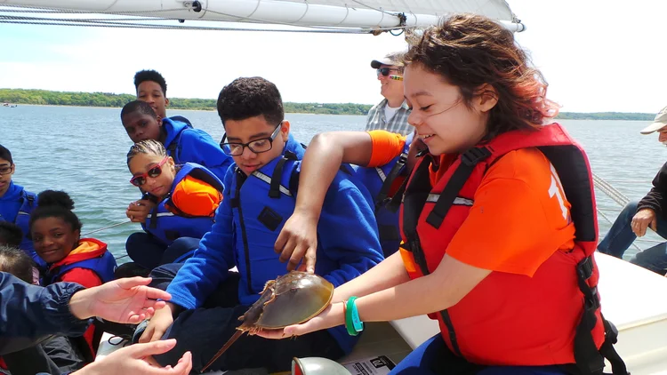 Historic oyster sloop CHRISTEEN sailing on Oyster Bay Harbor