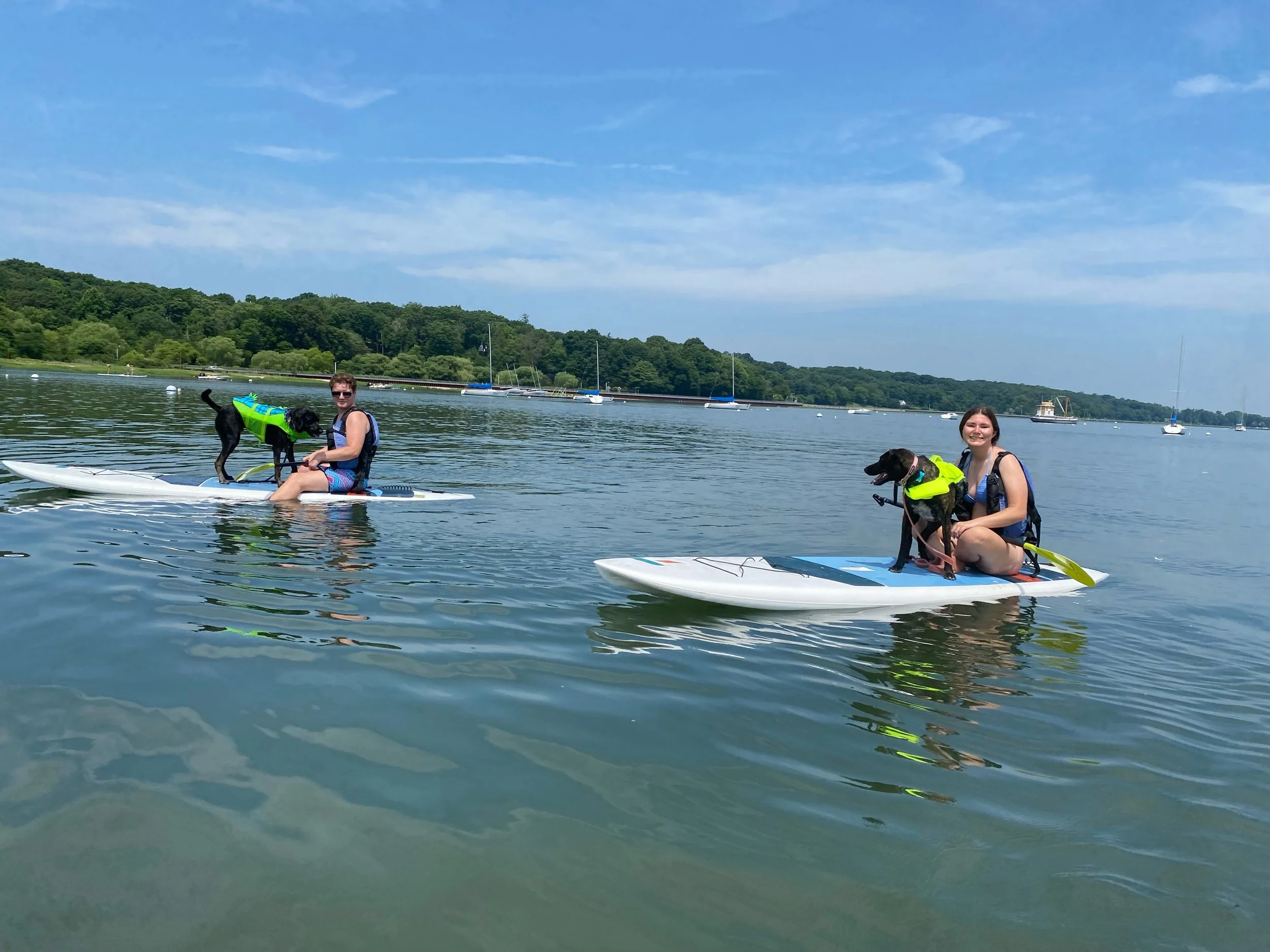 Sailboat, Kayak, & Paddleboard Rentals — The WaterFront Center