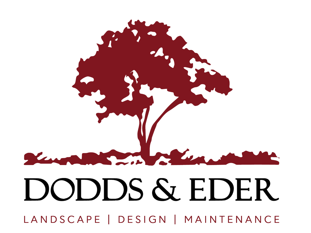 Dodds and Eder