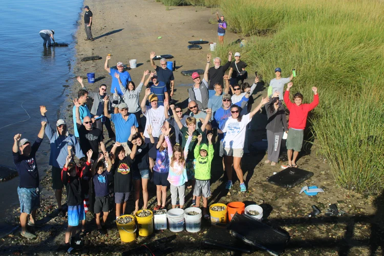 Community shellfish gardening program