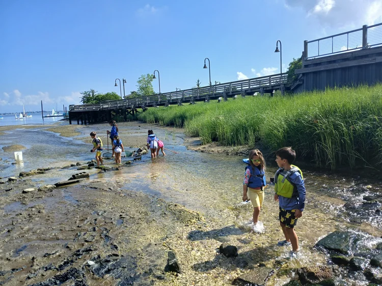 Summer campers enjoying time on the water at The WaterFront Center