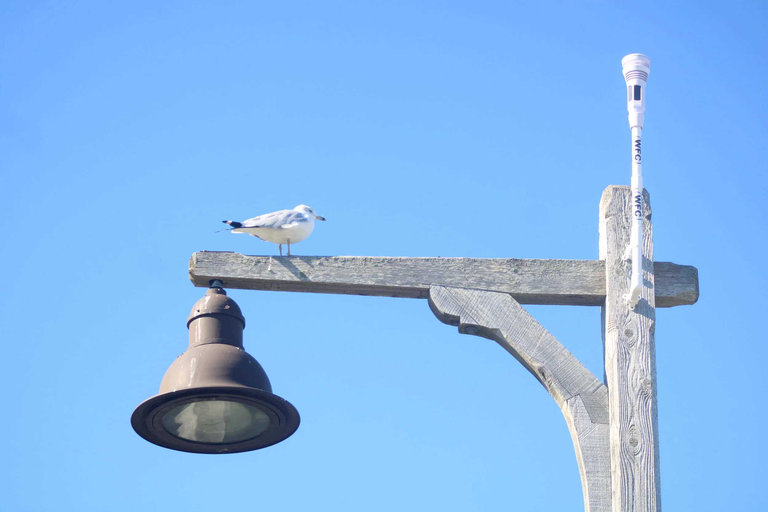 New RealTime Weather Station Oyster Bay, NY — The WaterFront Center