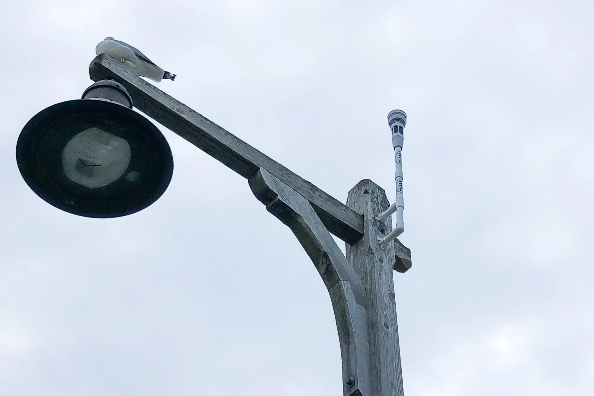 RealTime Weather Station 7 Day & Hourly Forecasts Oyster Bay, NY