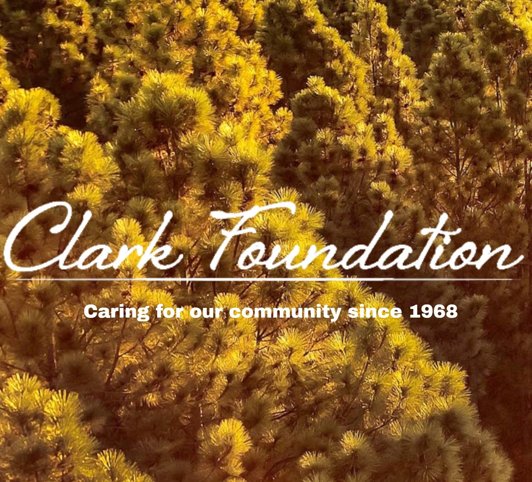 West Tuality Habitat for Humanity Receives $25,000 Grant from the Clark Foundation for Critical Home Repairs