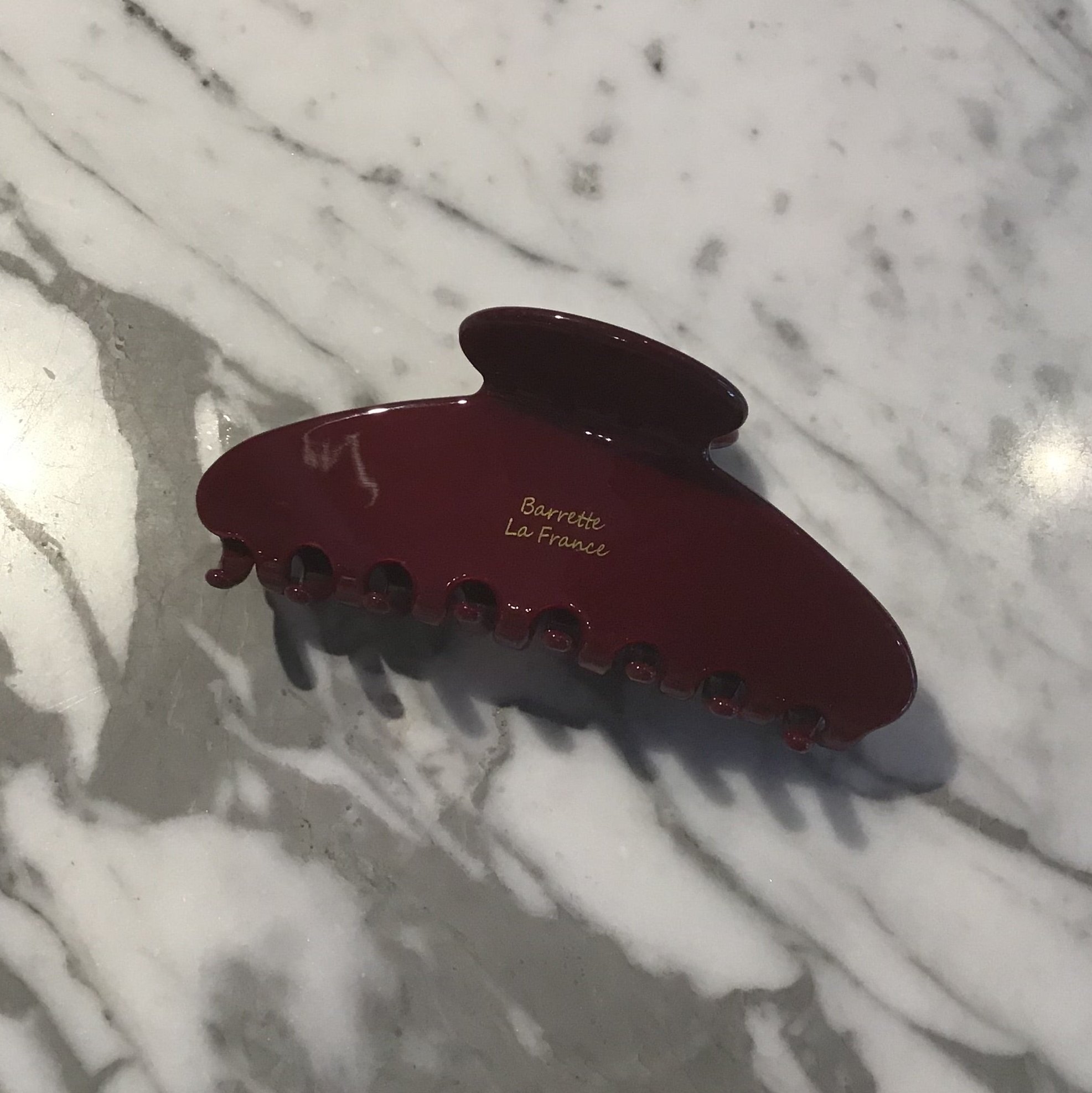 Long Shiny Jaw Clip (4 colours)