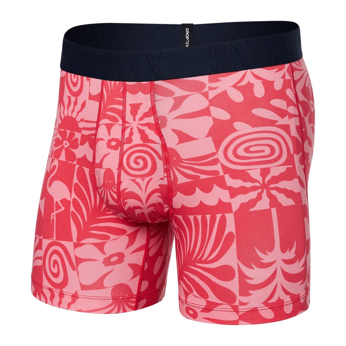 sxbb44-ech-east-coast-hibiscus.jpeg