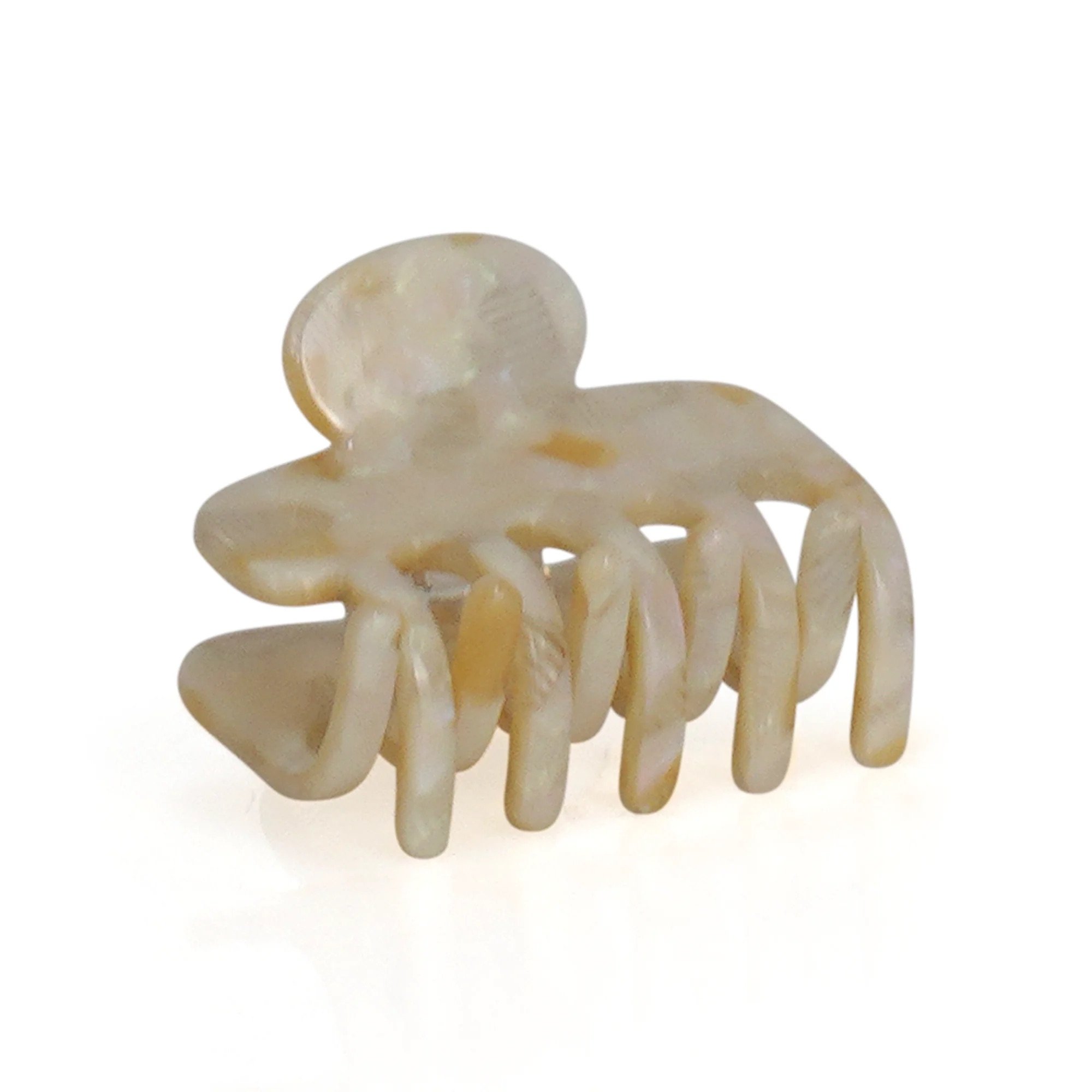 Limlim-Small-octopus-jaw-ivory.jpeg