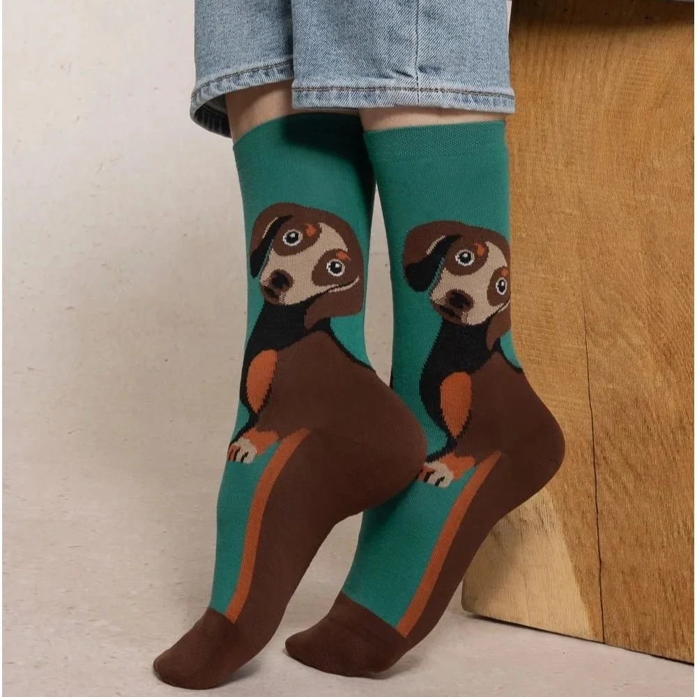 Dachshund Pattern - Bleuforêt