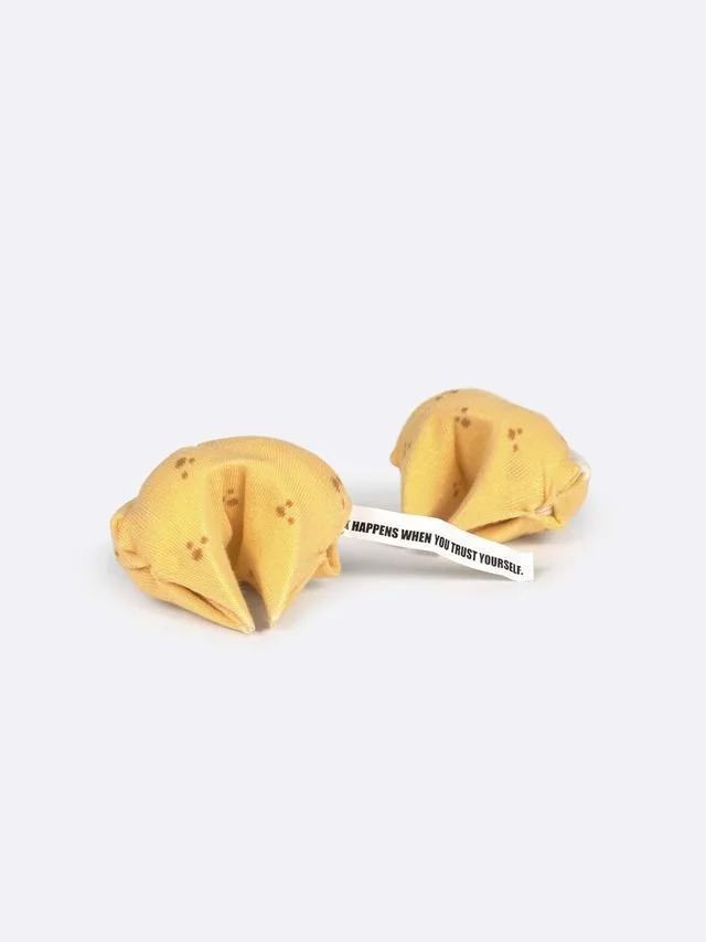 EMS-Fortune-Cookies.jpeg