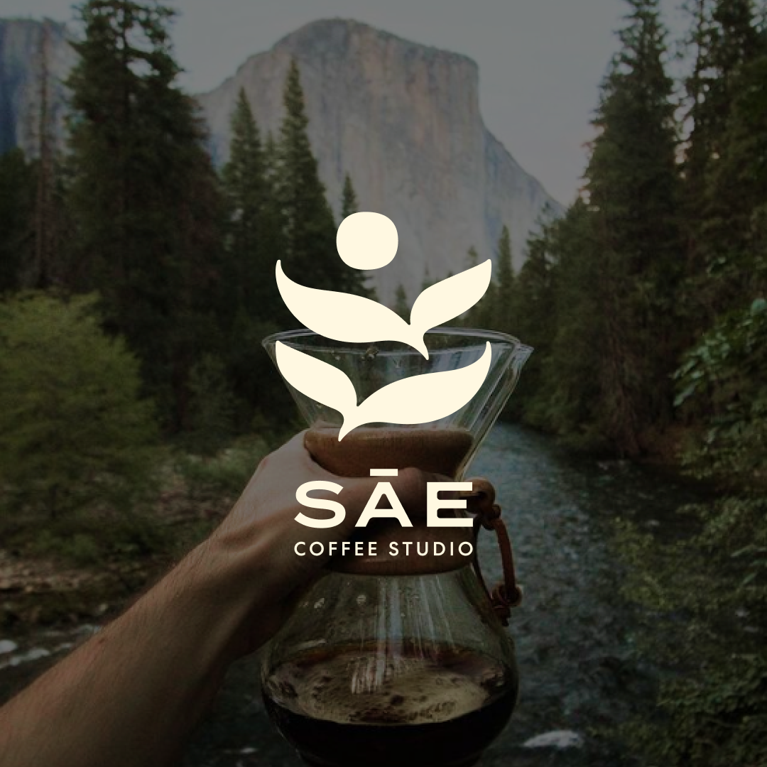 Sae IG 1.png