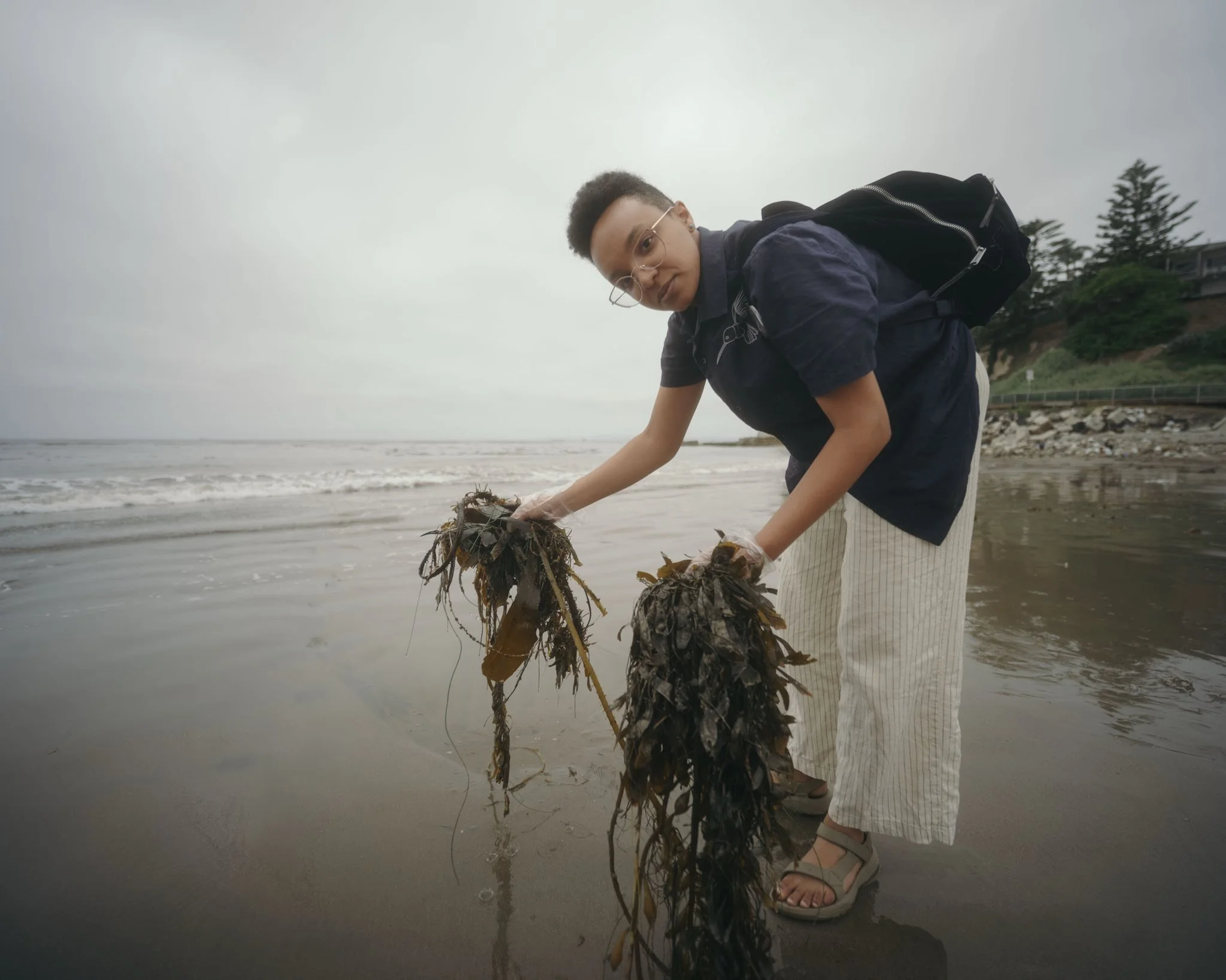 Schessa Garbutt collects kelp Cabrillo Beach in Long Beach, CA to create “Plastocene (eco-spiritual no. 2)” Photo by William Rouse.  (2025)