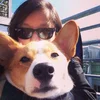 Person wearing sunglasses holding a Corgi dog close to their face outdoors.