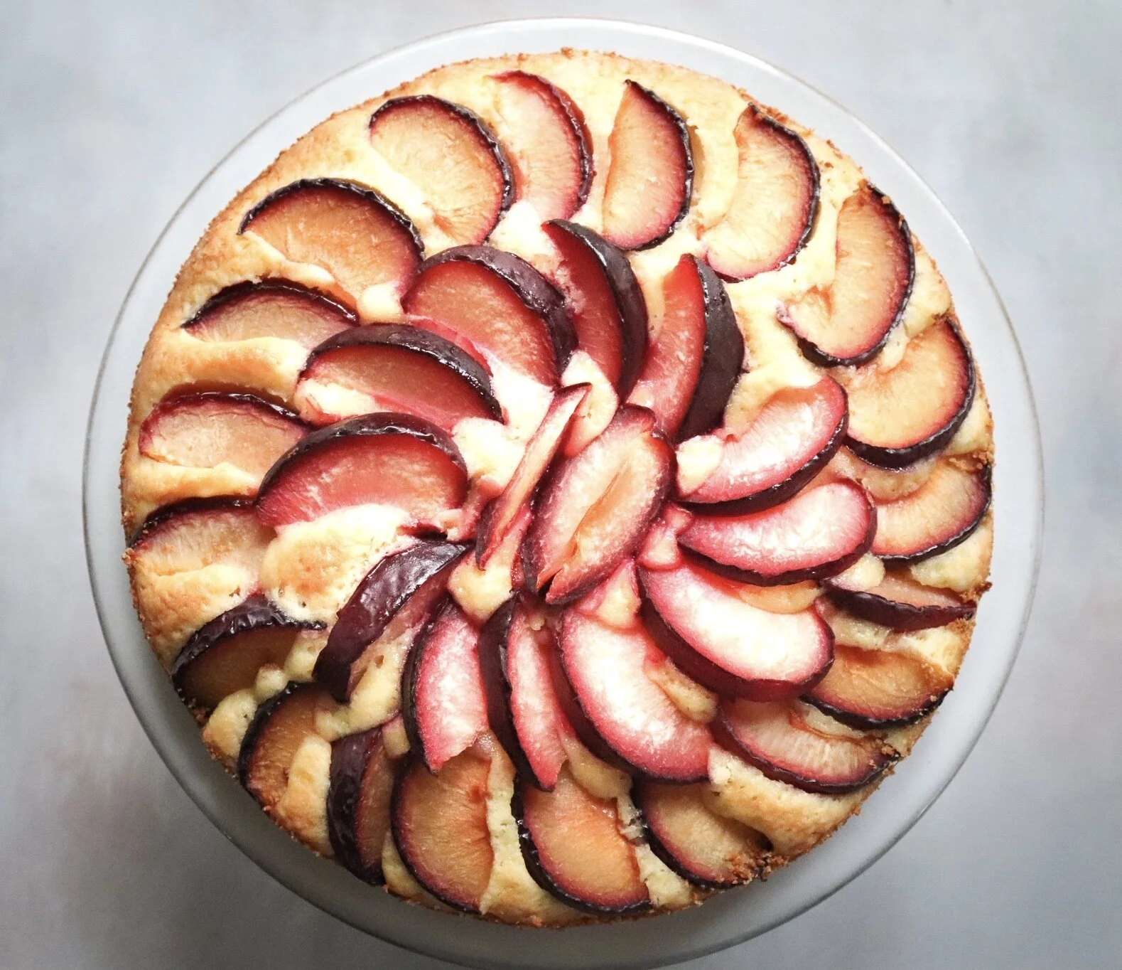 Easy Coffee Cake with Plums — Freshdayliving