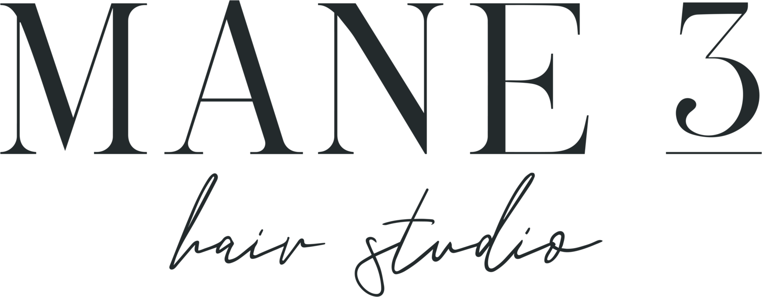 Mane 3 Hair Studio