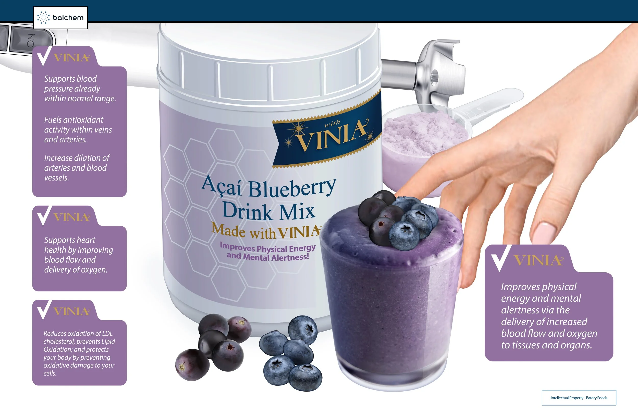 Protein Powder Mix Product Concept