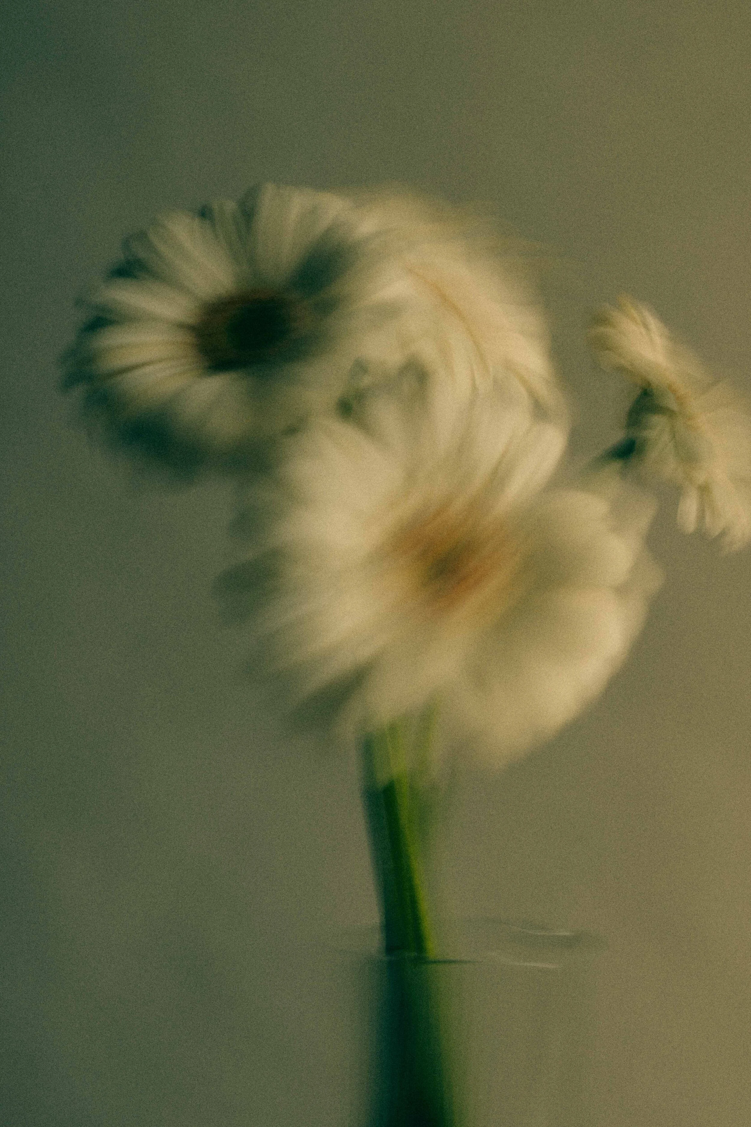 Screen Shot 2021-06-02 at 3.12.27 pm.png