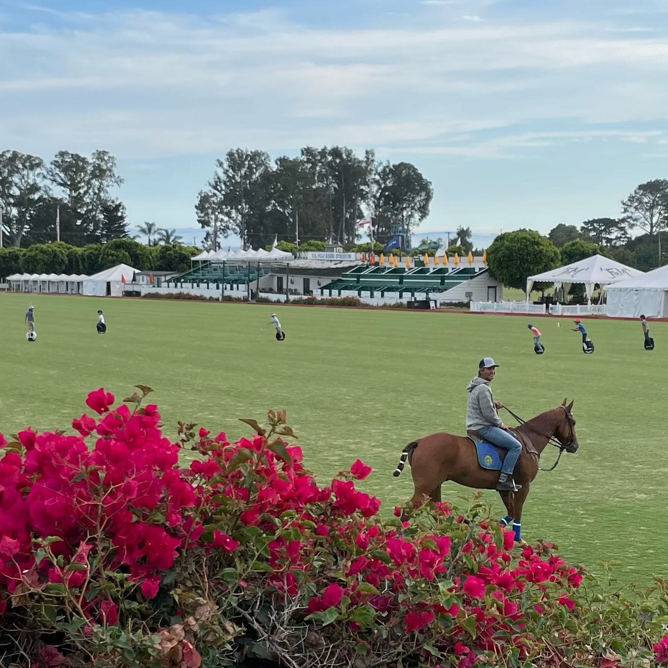 Nothing like spontaneous scrimmages, buganvillas, and Hector the horse. Gratitude for it all. Late summer vibes. @maco_llambias @roda.polo @rodapolo.california 

#unicyclelife #equestrainlife #life