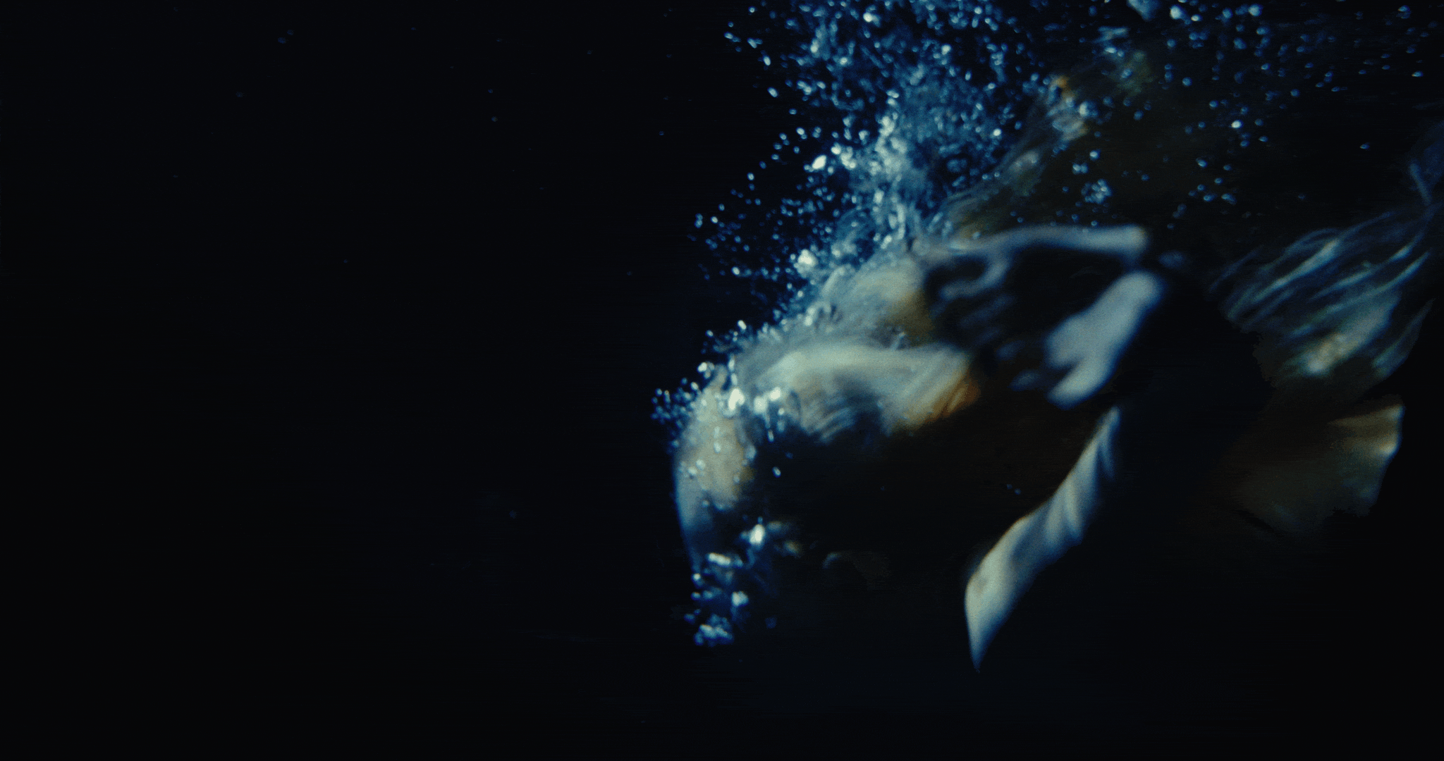 NADADENOVO_4kVIMEO2.gif