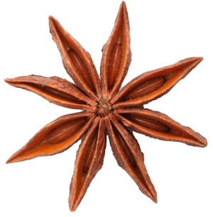 STAR-ANISE.png