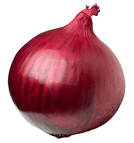onion.gif