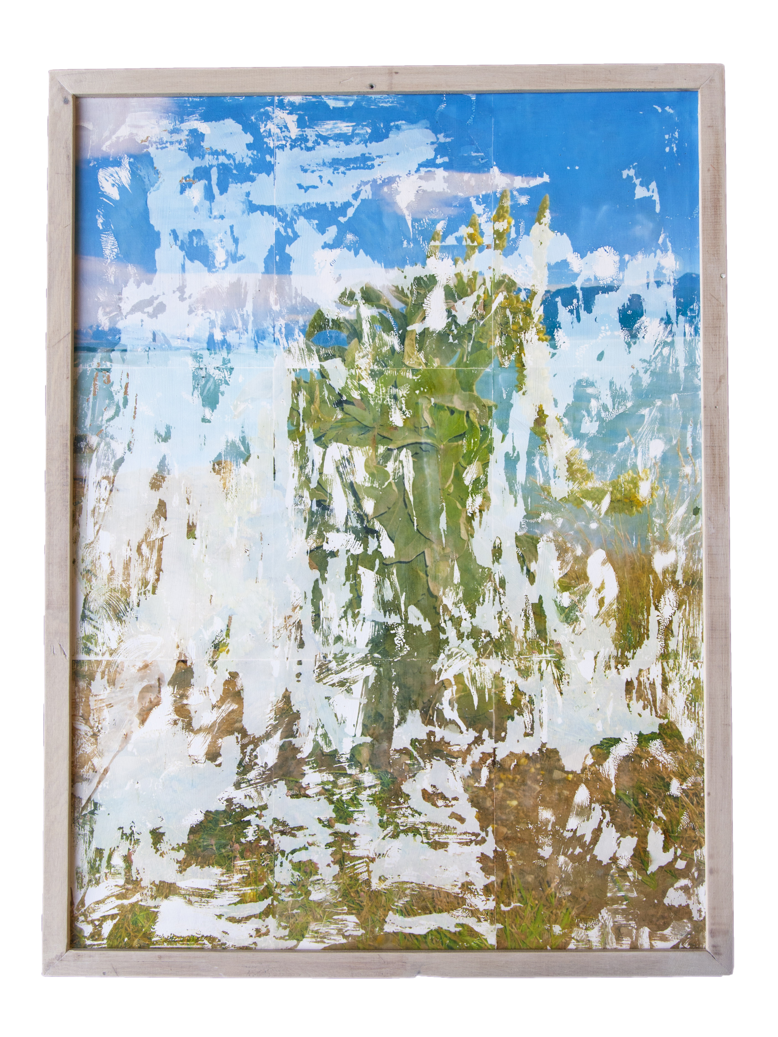 white background.png