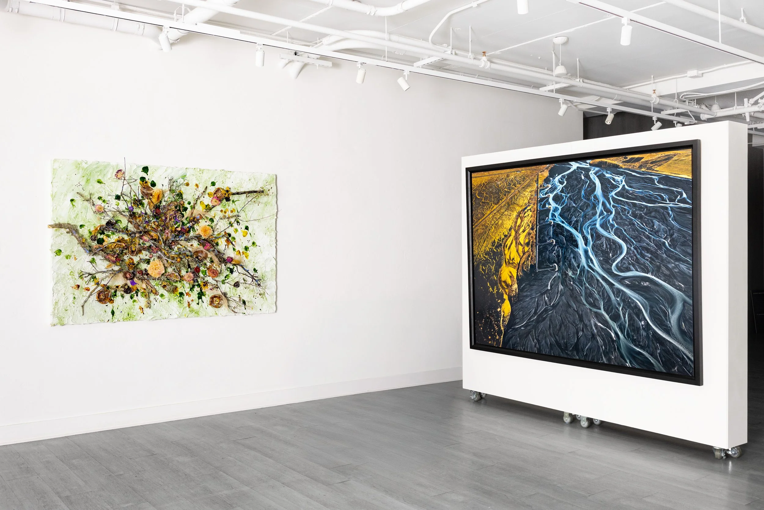 Sundance at Susan Swartz Studios: Art, Film, &amp; Natural Order&nbsp;