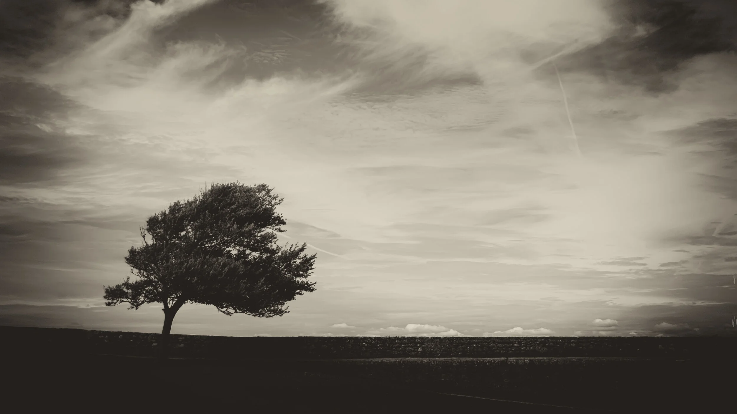 What Are the Five Types of Suffering?