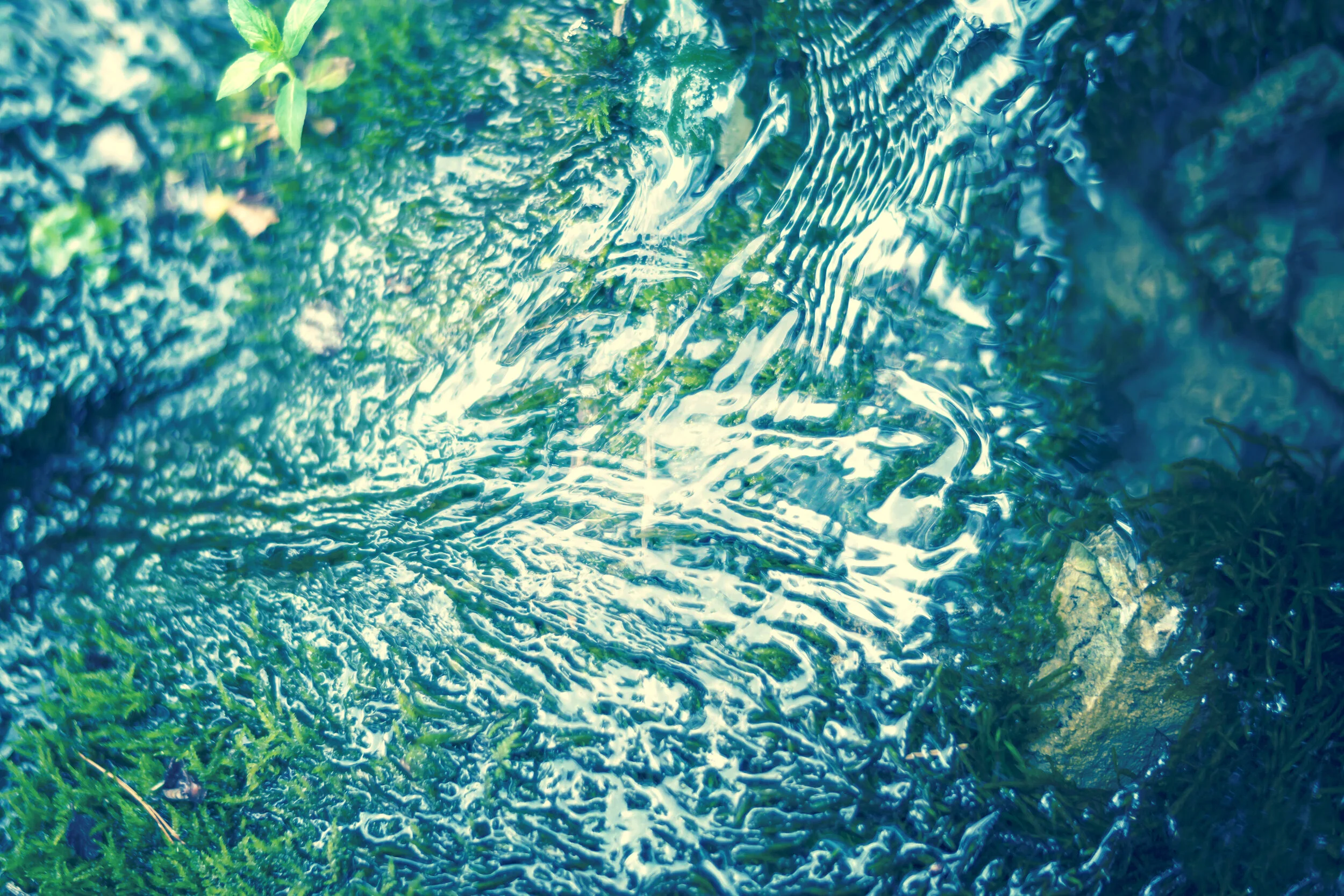 Jesus Shapes, not Shames