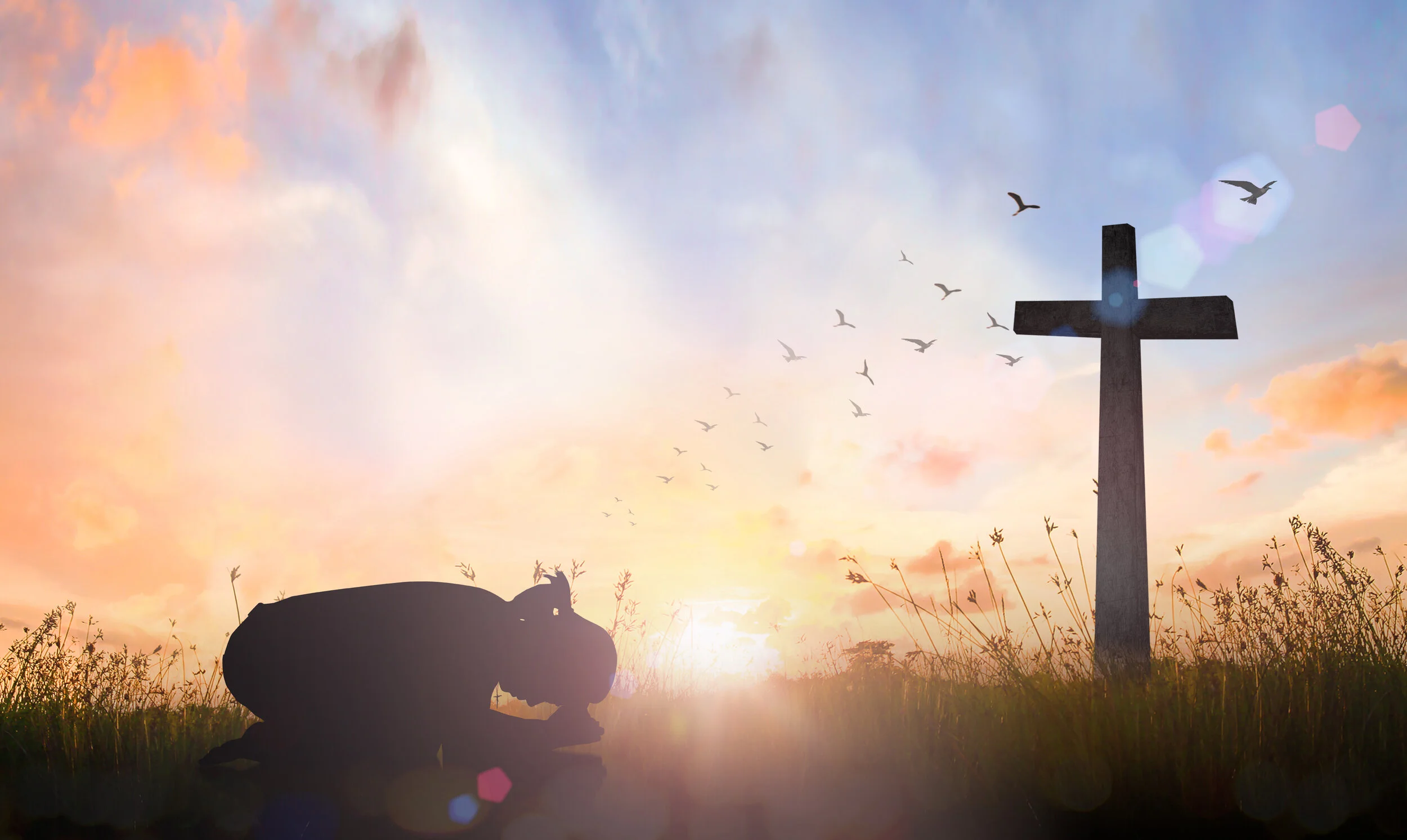 The Promise of Easter