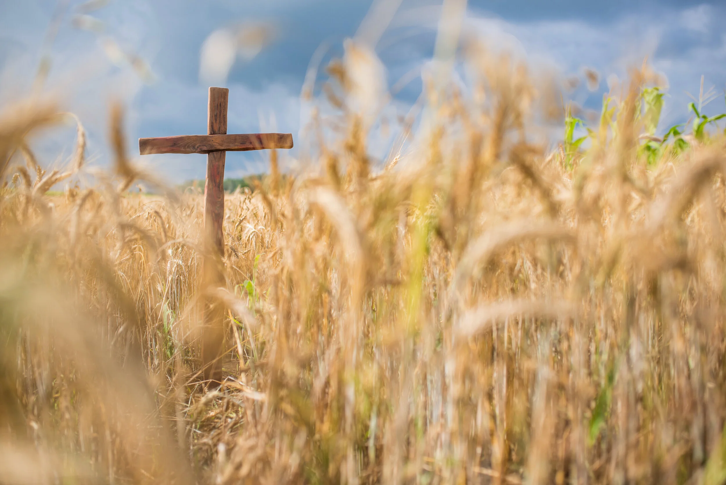 Harvest in Athena