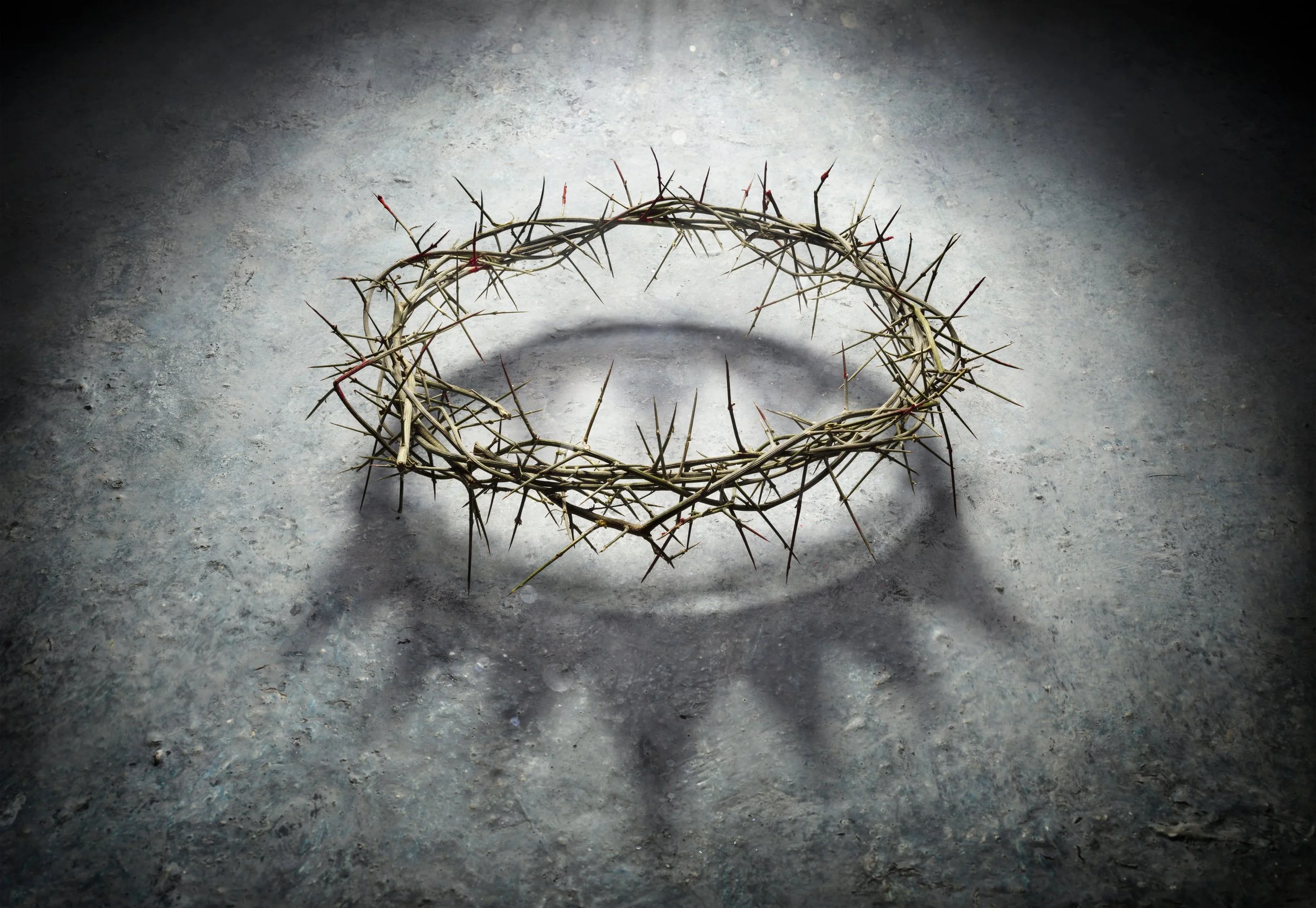 The King of Kings