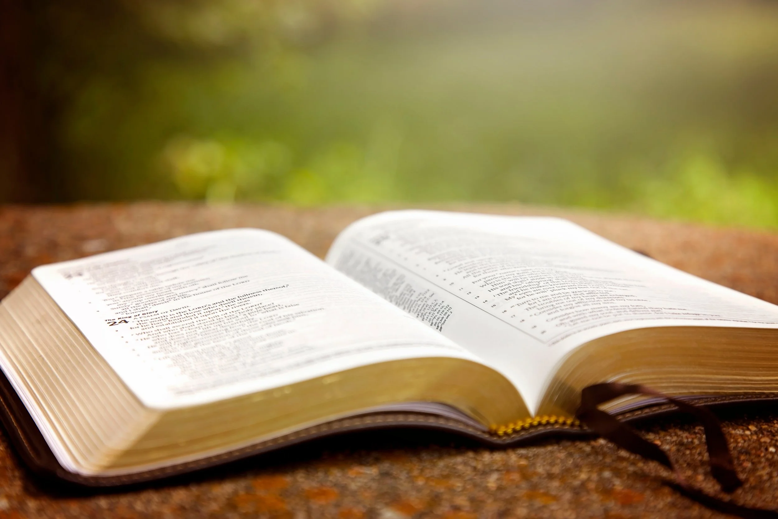 Do you enjoy the Bible?