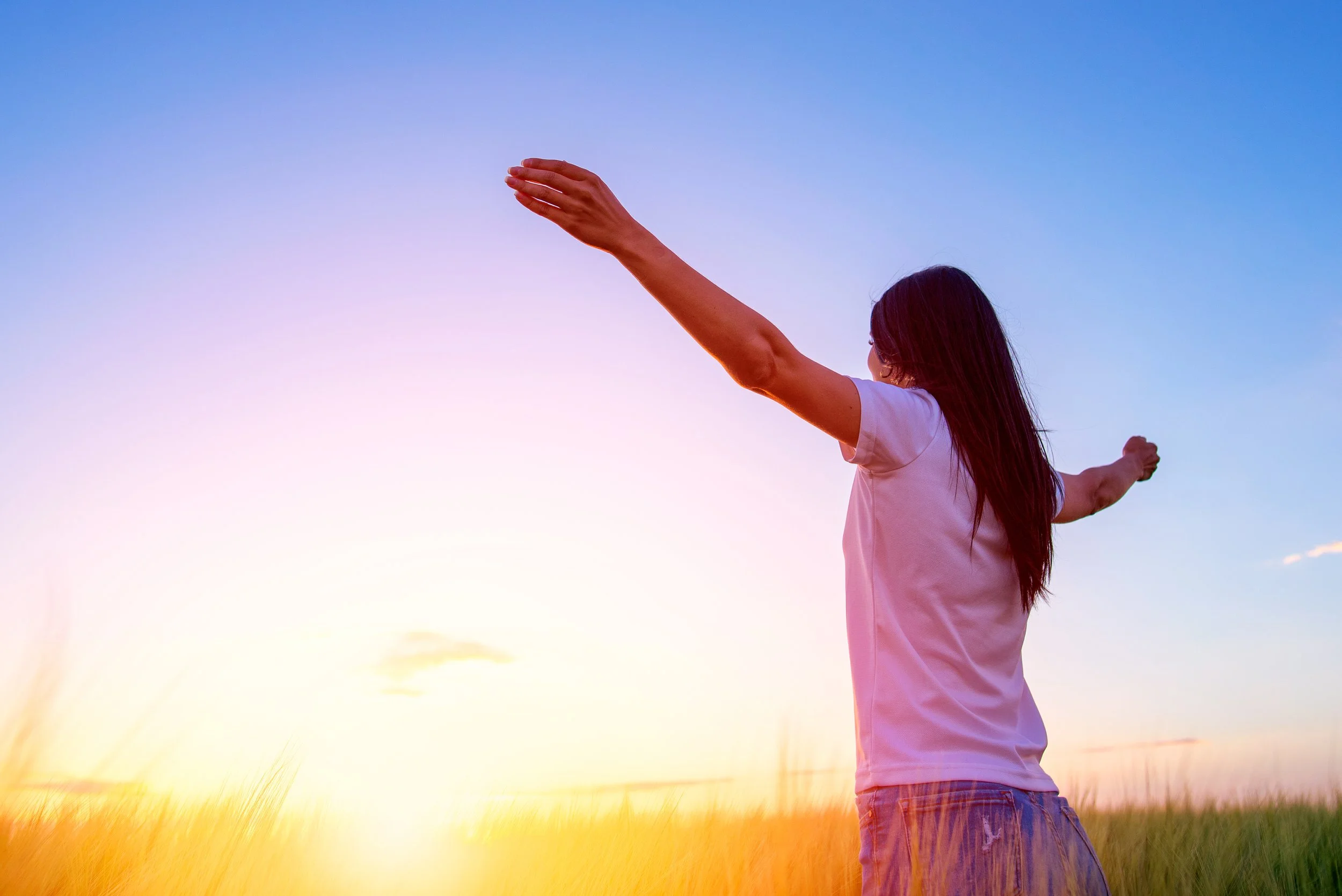 Surrender All