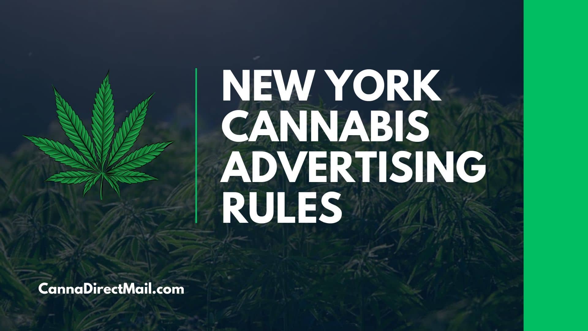 NY Cannabis Direct Mail Advertising Regulations, Successes &amp; Best Practices