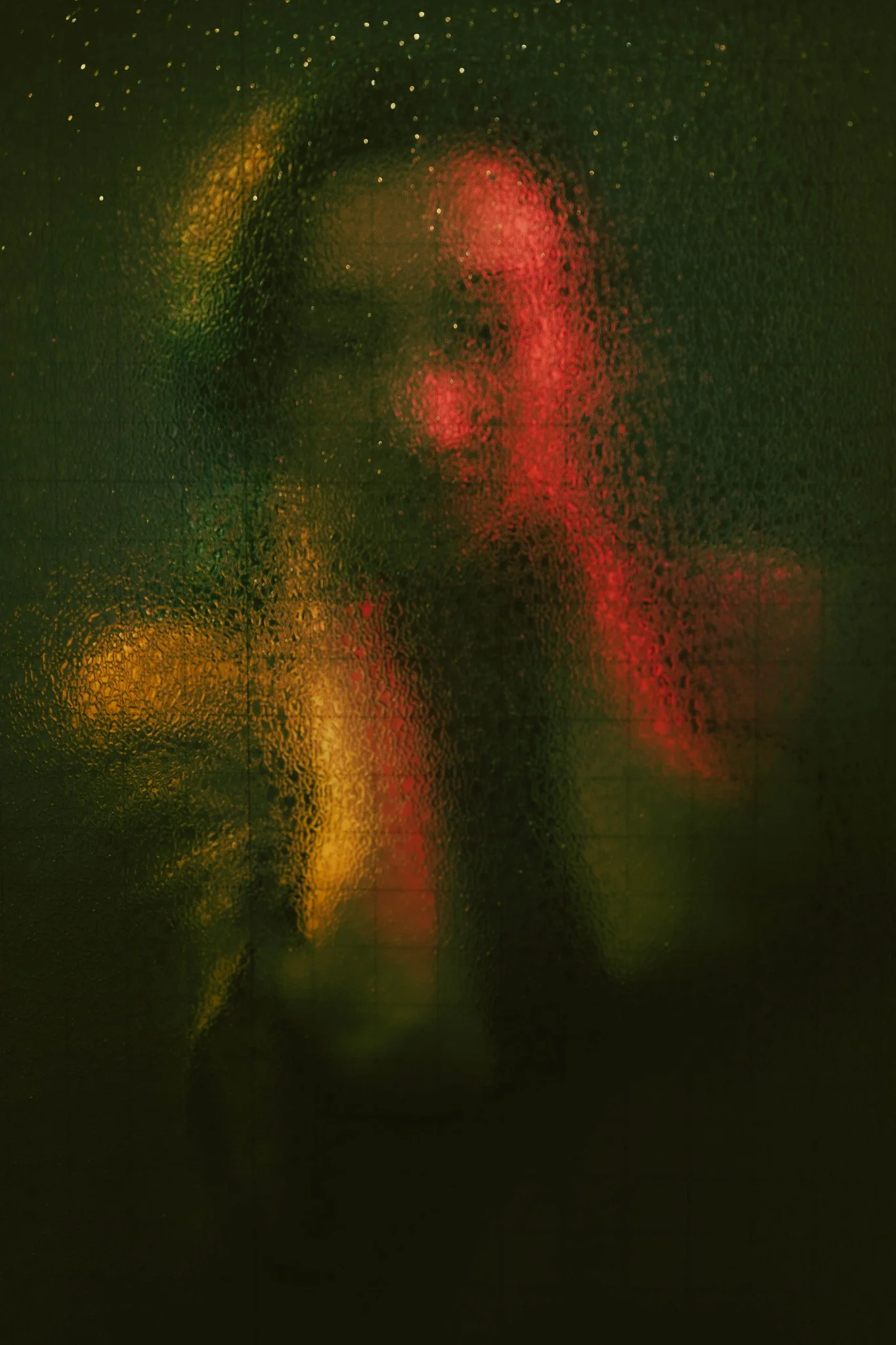 52569678435_3d1cf30136_k.jpg