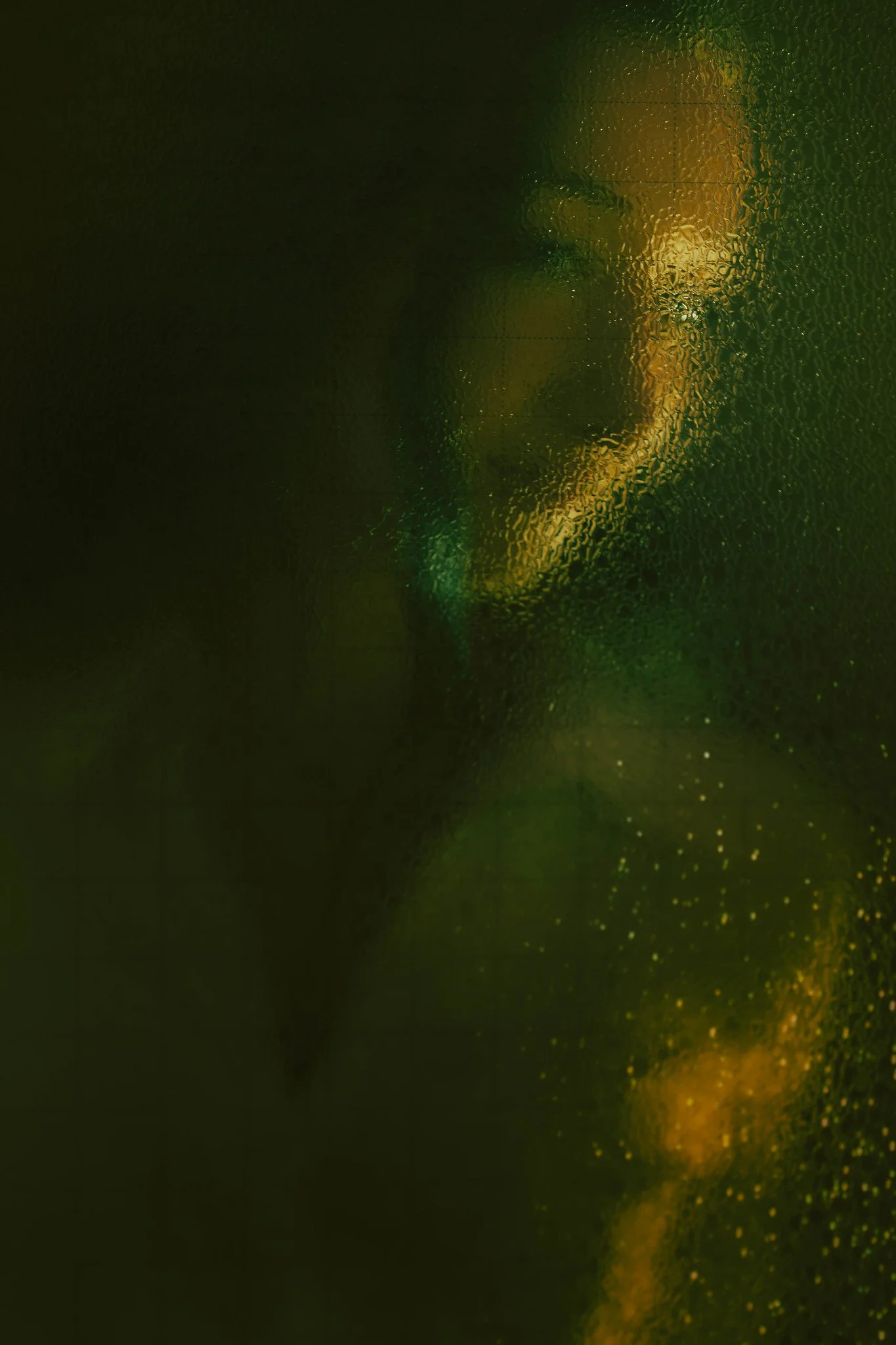 52569760658_356f87ce48_k.jpg