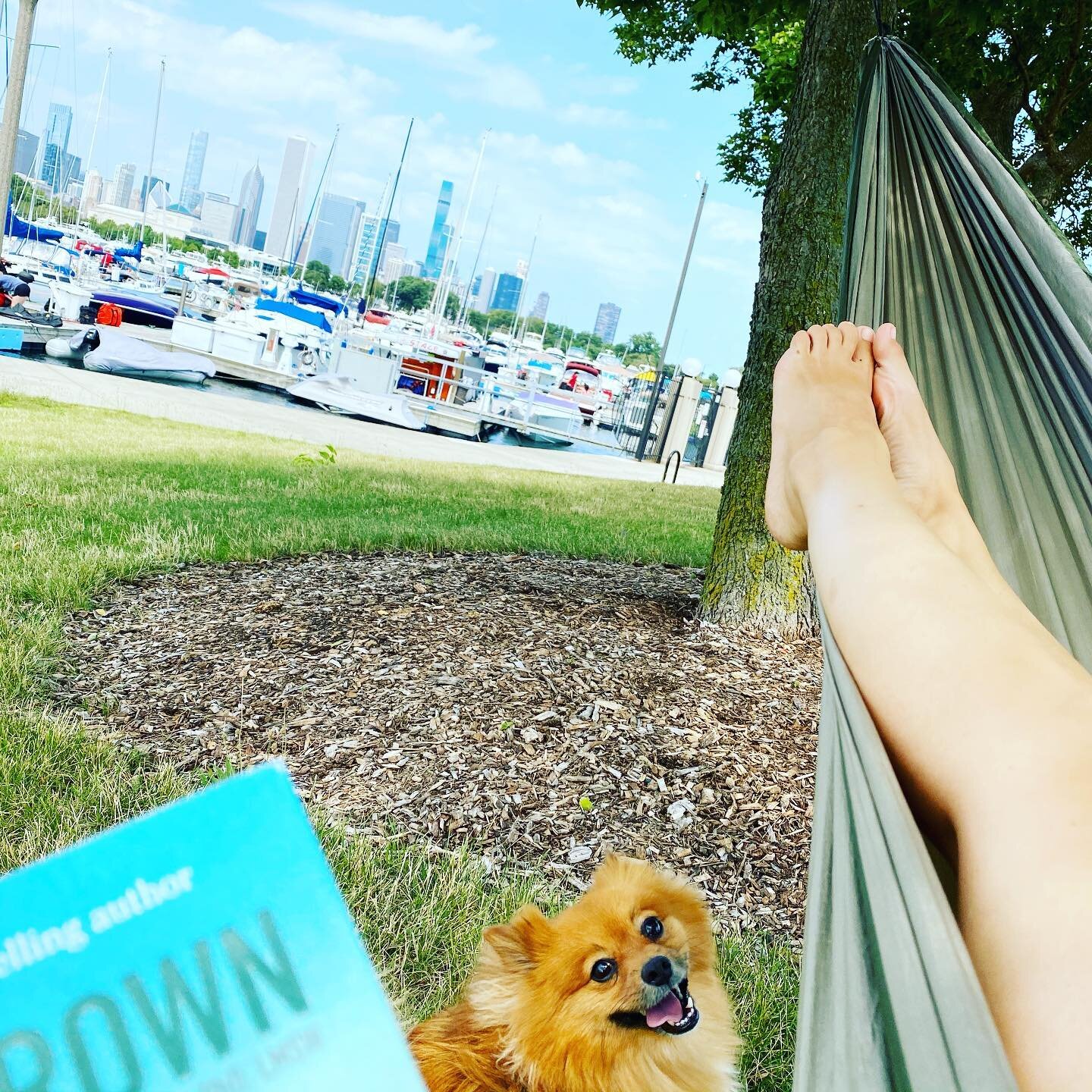 Hammocks in Harbors 📗🌊✨🌱

&ldquo;You will always belong anywhere you show up as yourself and talk about yourself and your work in a real way.&rdquo; @brenebrown #bravingthewilderness