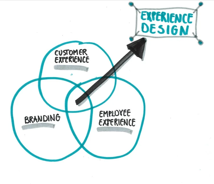 Design Experience Options Experience Design — Red Suede Shoes