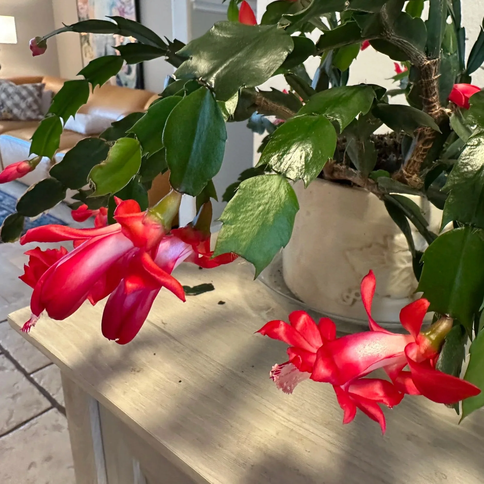 May the Music Never End