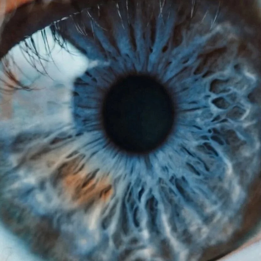 Brown and Blue Pearl