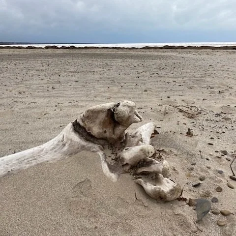 No Greater Love No Greater Love