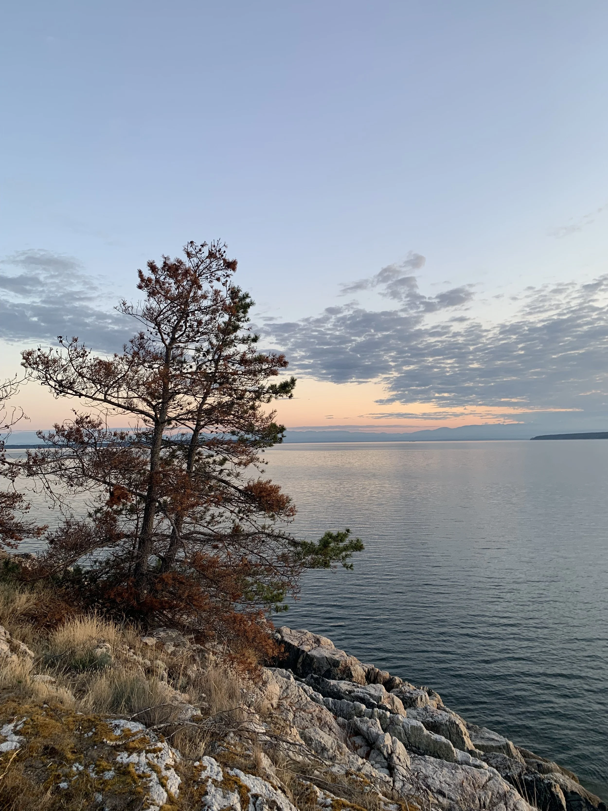 IMG_6206.jpeg