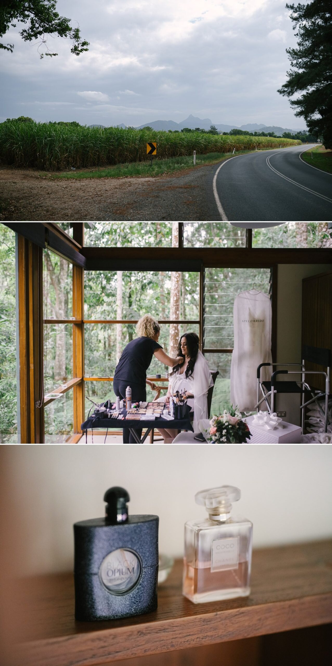 Talya-Daniel-Rainforest-Crystal-Creek-Elopement-1-scaled.jpg
