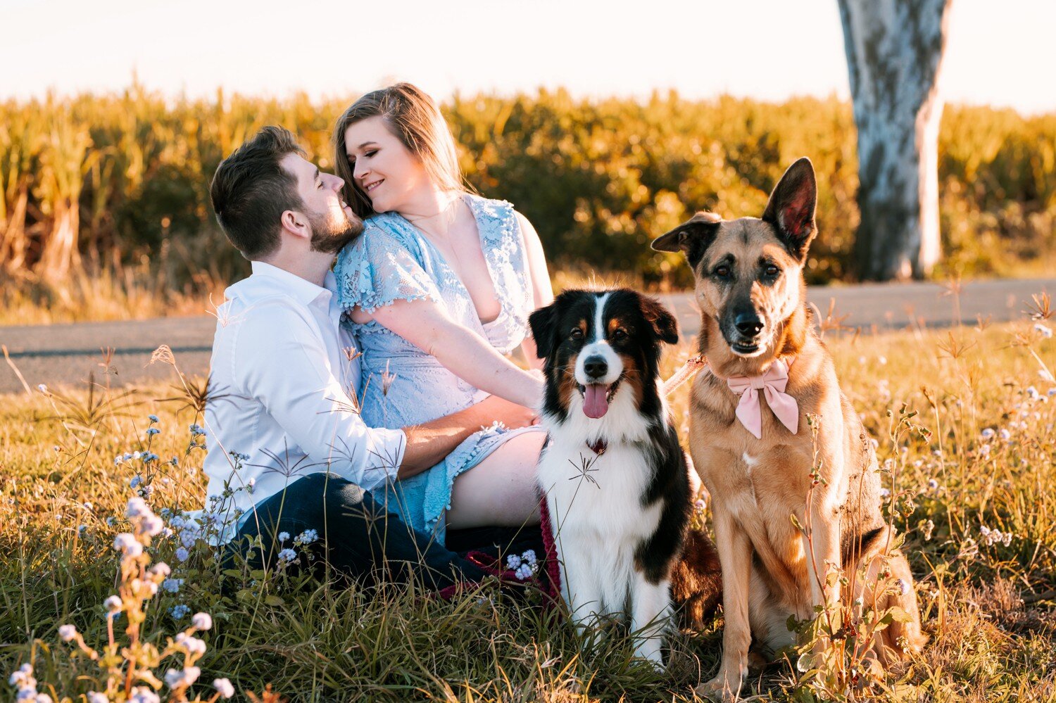 Brisbane Country Engagement Dogs 4.jpg