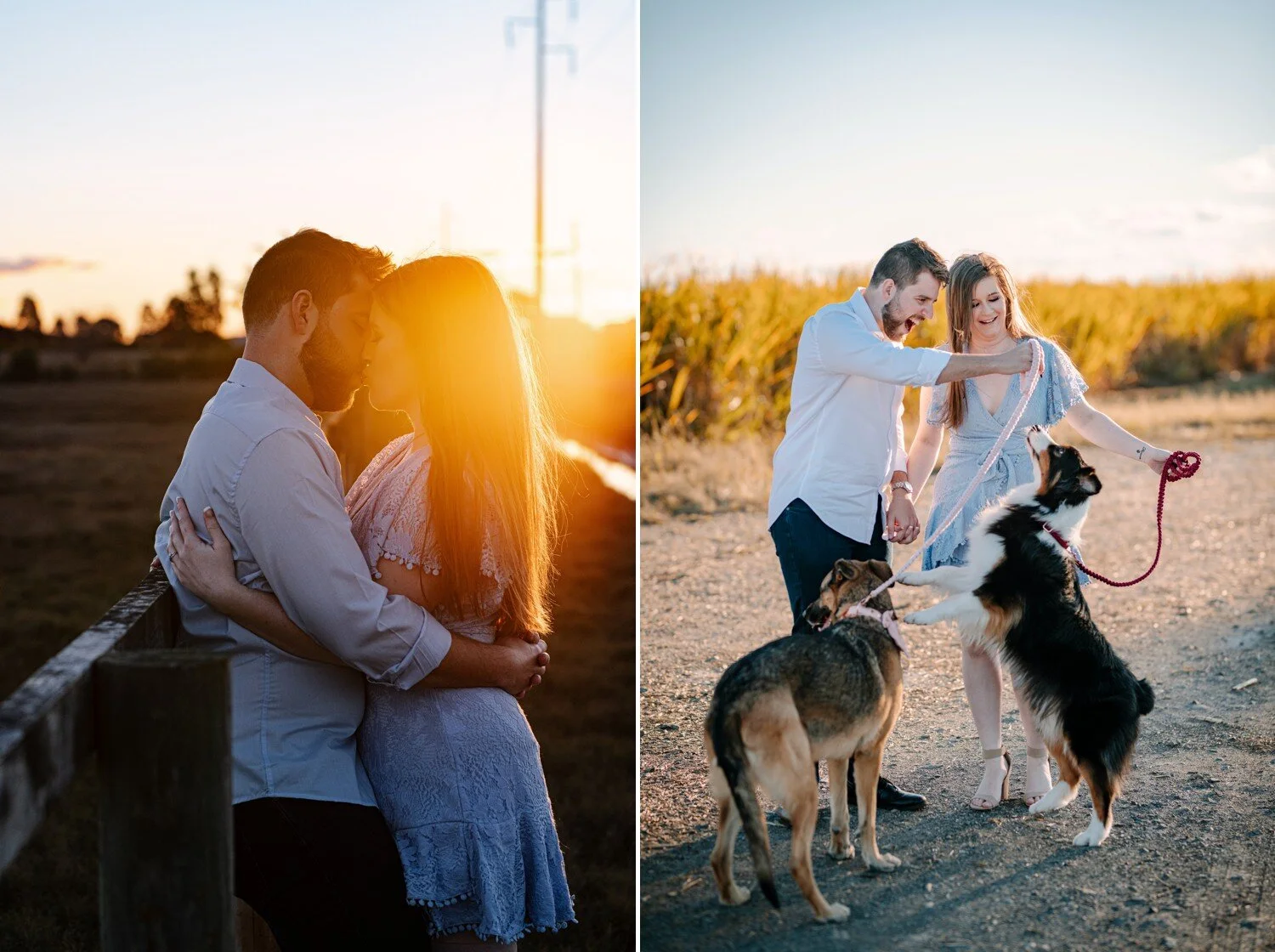Brisbane Country Engagement Dogs 8.jpg