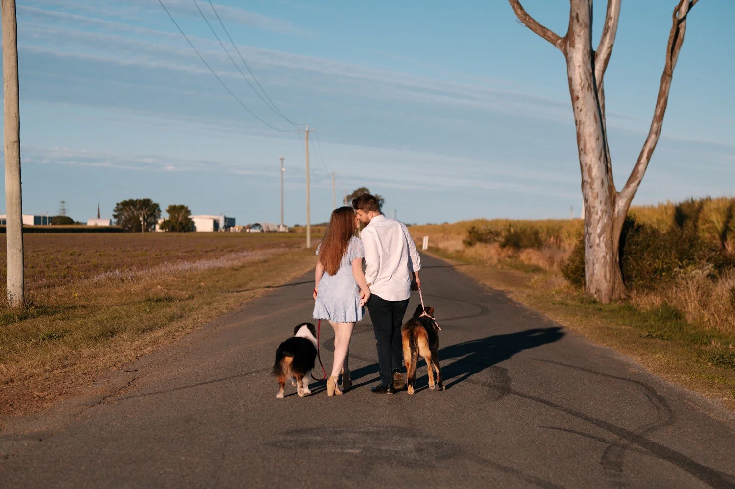 Brisbane Country Engagement Dogs 9.jpg