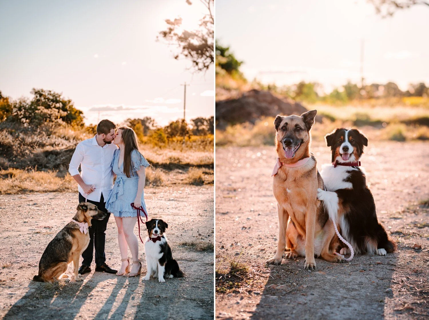 Ali and Andrew’s Country Engagement Photos - Plus PUPPIES!