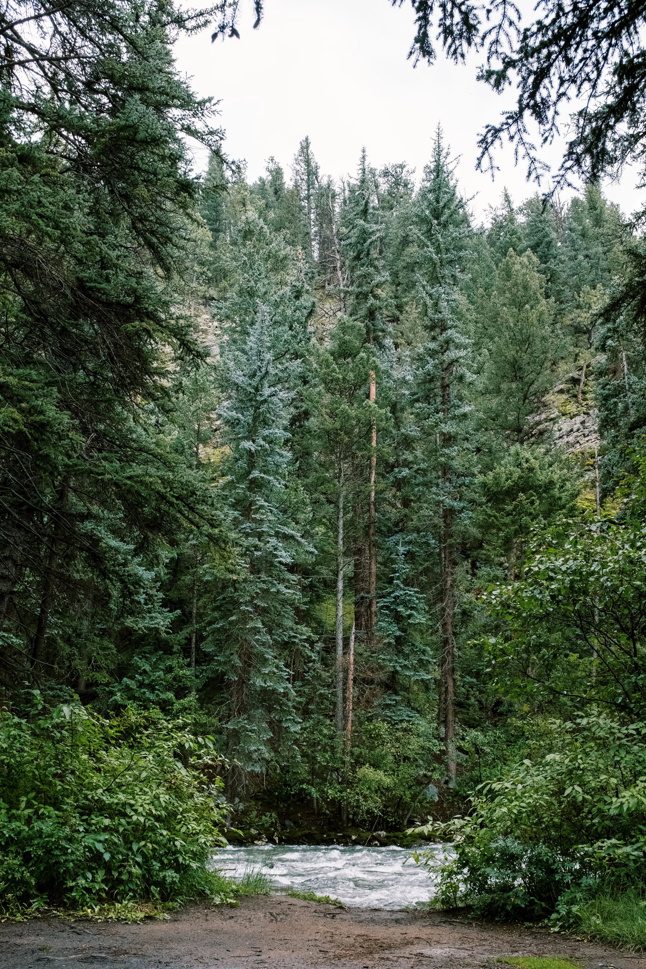 20220815_2969KT.jpg