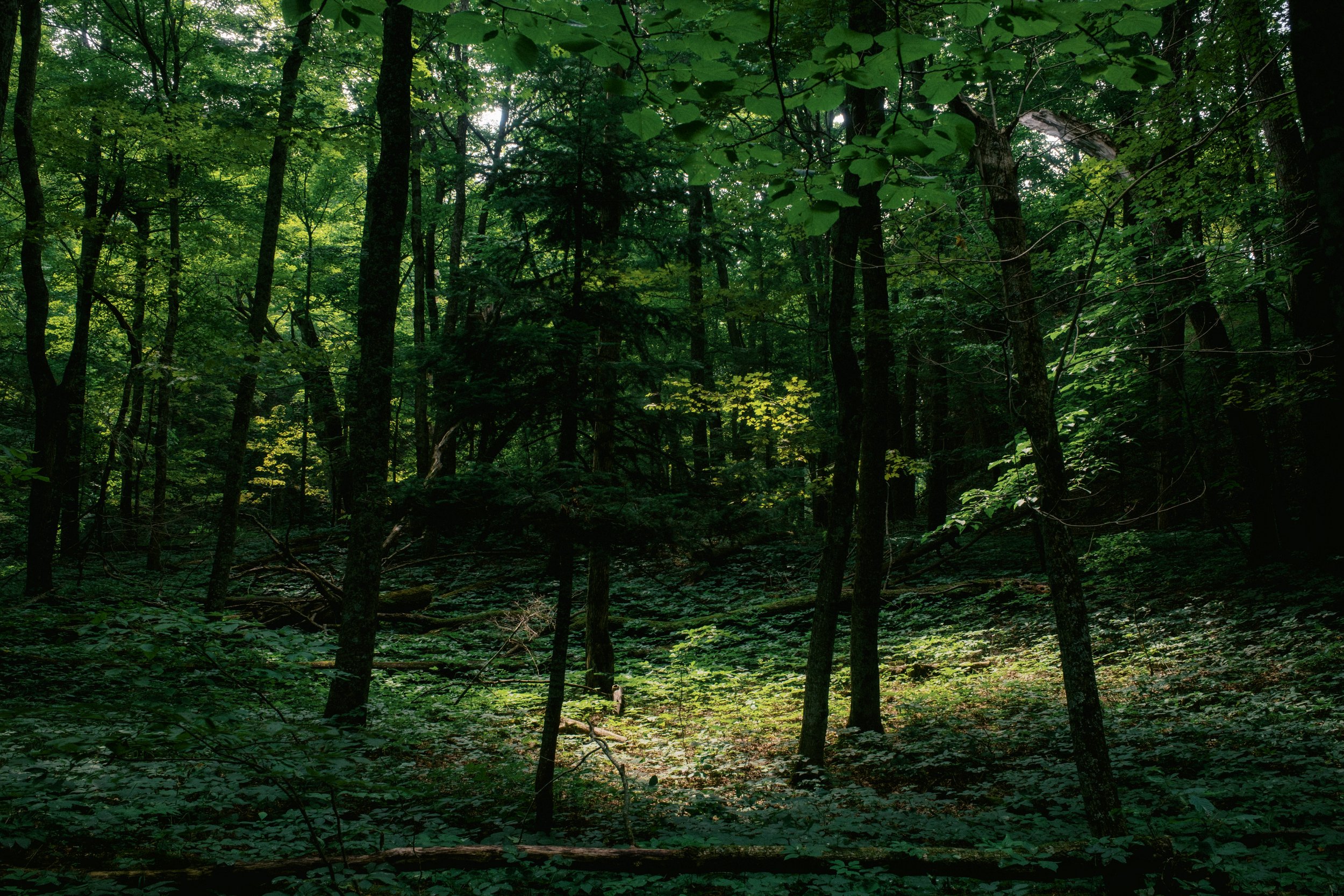 20260720_4363KT.JPG